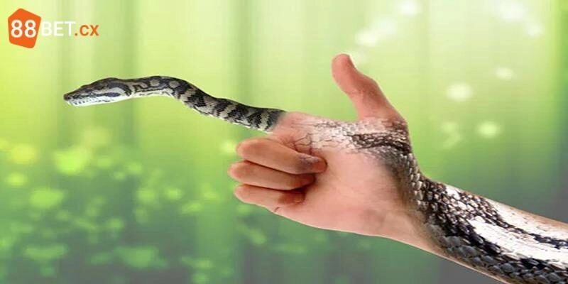 Mơ Thấy Rắn Hên Hay Xui? Gợi Ý Con Lô Đẹp Chốt Là Ăn Nằm mơ thấy rắn nên đánh con gì vào bờ an toàn?