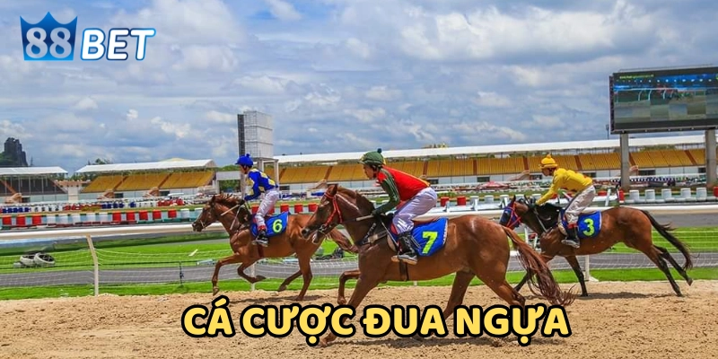 Có Thể Làm Giàu Từ Cá Cược Đua Ngựa? Sự Thật Làm Bạn Bất Ngờ Cá cược đua ngựa có thể làm giàu không?